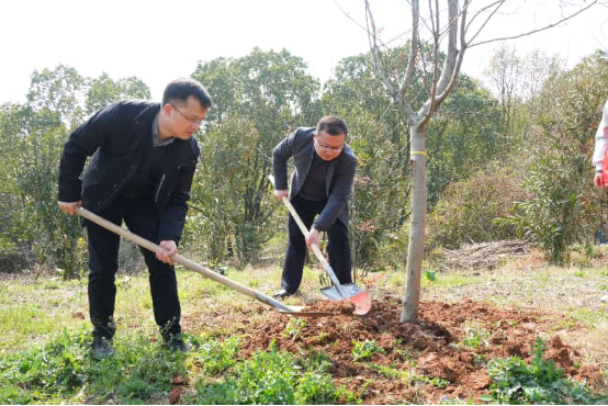 后勤工作风采31